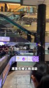 松弛感拉满！库里在中国香港商场做活动 楼下客人该吃吃该喝喝